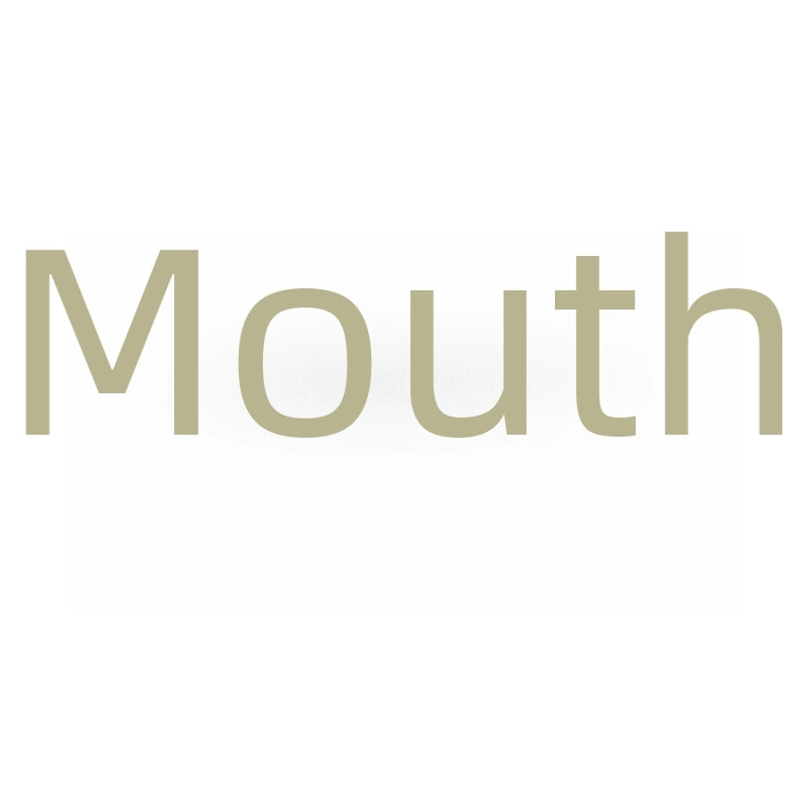 Elegant Simple Square Frosted Hairpin Cyber Celebrity Grab Clip Acrylic Shark Clip Back Head Hairpin Clip Headwear for Women