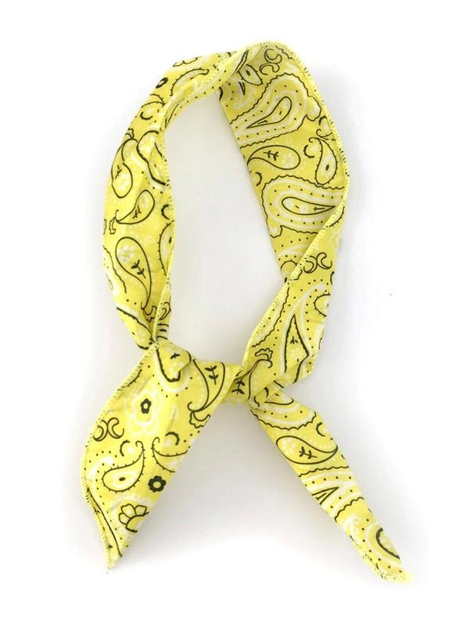 Women's Casual Simple Style Paisley Cloth Hair Band