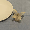 Women's Simple Style Bow Knot Acetic acid sheets Stoving Varnish Hair Claws