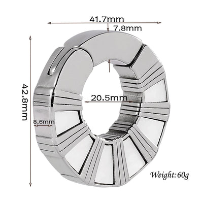 1 Piece Casual C Shape Animal Circle 304 Stainless Steel 18K Gold Plated Stainless Steel Earrings