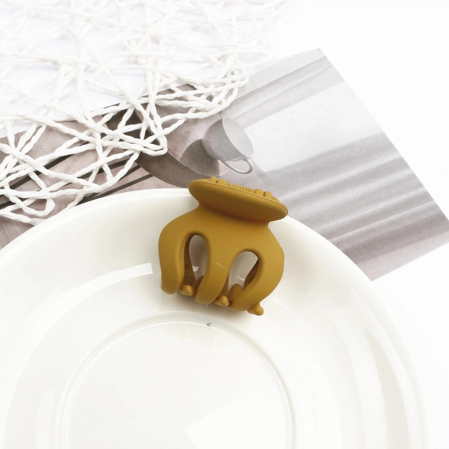 women's simple style geometric plastic stoving varnish hair claws