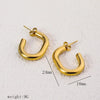 1 Pair Simple Style Commute Geometric Heart Shape Plating Titanium Steel Drop Earrings Earrings Ear Studs