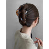 Women's French Style IG Style Solid Color Plastic Spray Paint Hair Claws