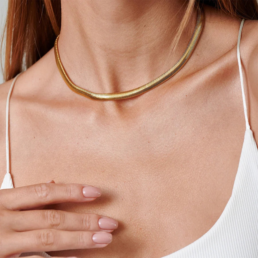 Jewelry IG Style Simple Style Solid Color Titanium Steel Necklace