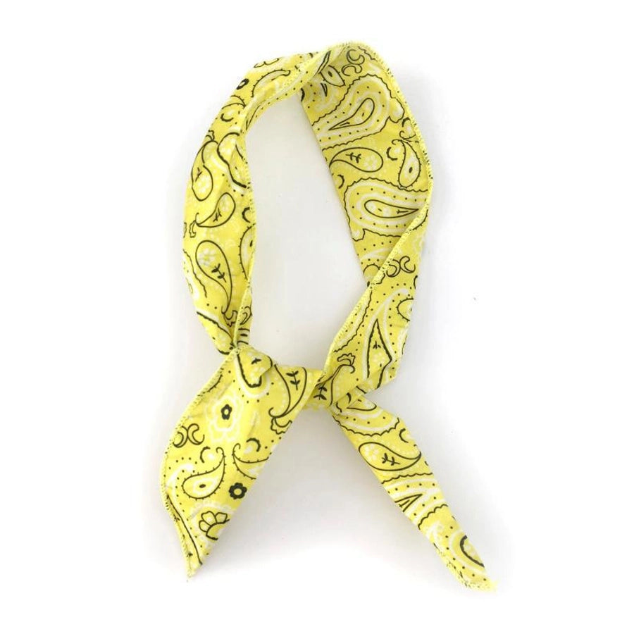 Women's Casual Simple Style Paisley Cloth Hair Band