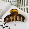Women's Simple Style Color Block Acetic acid sheets Polishing Hair Claws
