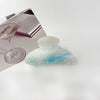 Women's Simple Style Classic Style Color Block Arylic Hair Claws