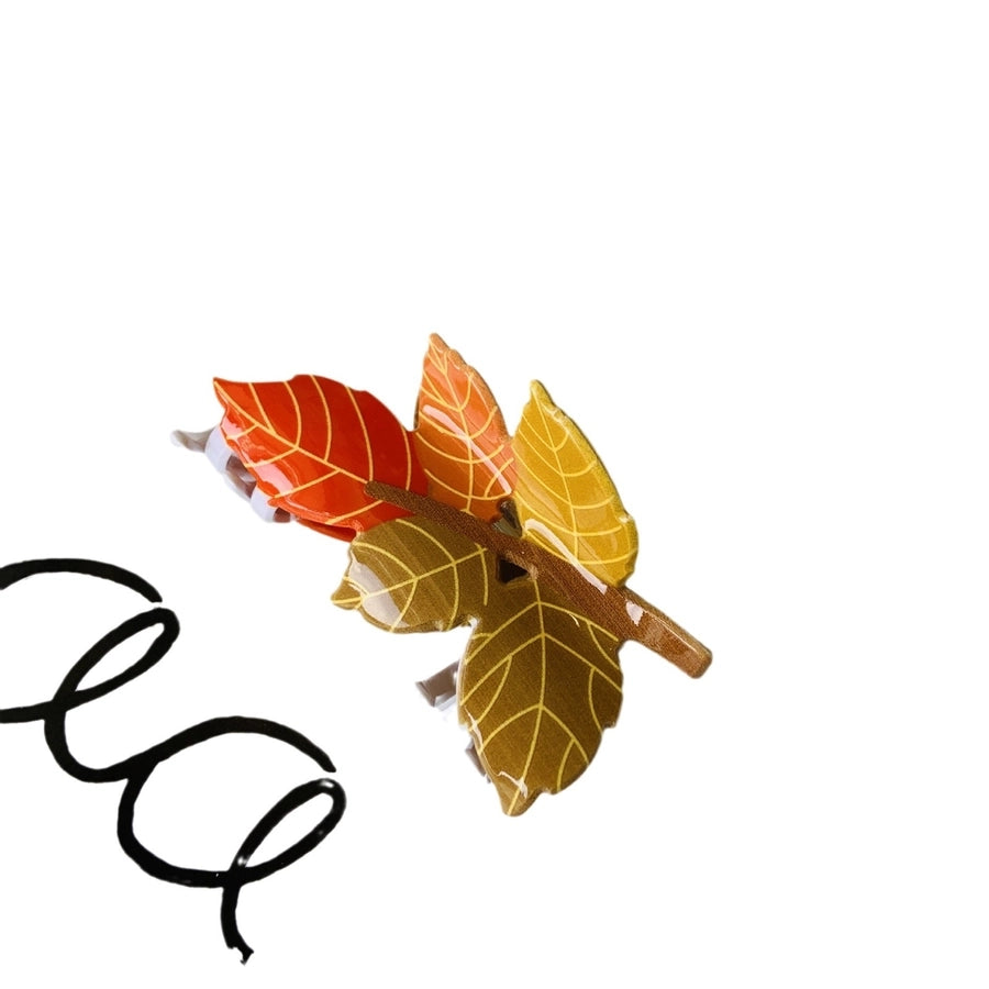 Women's Simple Style Color Block Arylic Hair Claws