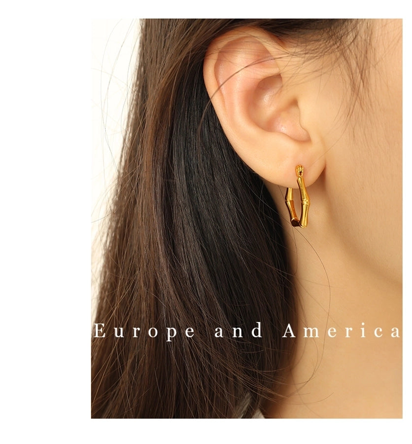 Jewelry IG Style Elegant Simple Style Geometric 304 Stainless Steel 18K Gold Plated Polishing Rings Earrings