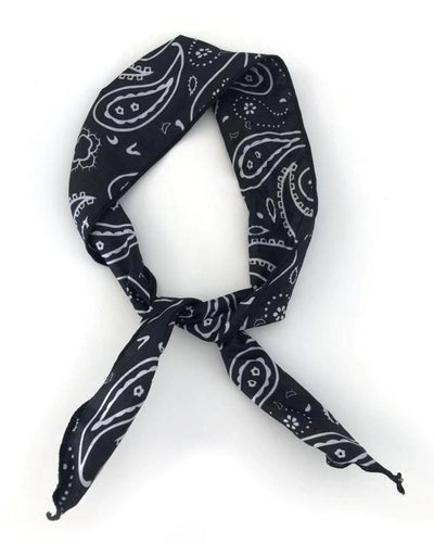 Women's Casual Simple Style Paisley Cloth Hair Band