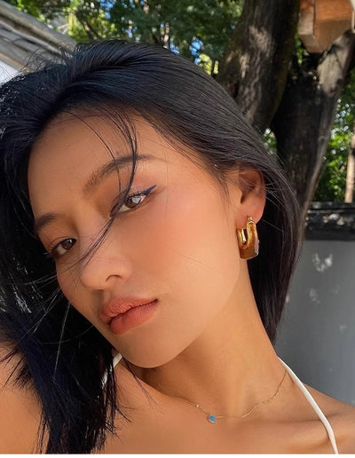 Autumn and Winter  pull style U-shaped geometric resin earrings Women's Light luxury high-end design earrings fashion earrings