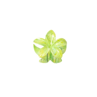 Women's Simple Style Floral Plastic Resin Stoving Varnish Hair Claws