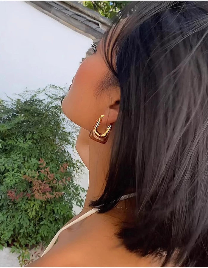 Autumn and Winter  pull style U-shaped geometric resin earrings Women's Light luxury high-end design earrings fashion earrings