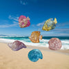 Conch Shell Hairpin Holiday Style Cute Small Hair Grab Japanese and Korean Small Exquisite Acrylic Side Clip Marine Hair Accessories