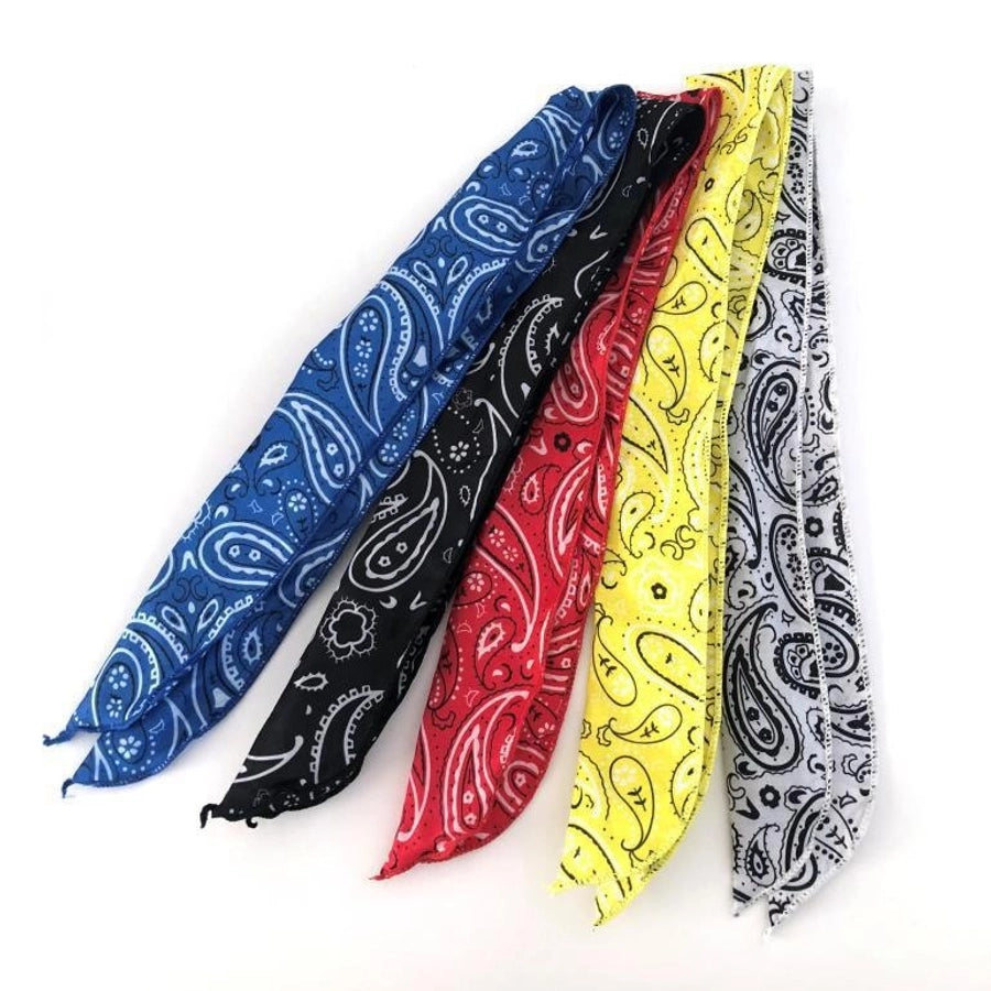 Women's Casual Simple Style Paisley Cloth Hair Band