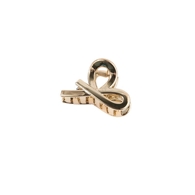 Women's Simple Style Classic Style Solid Color Alloy Stoving Varnish Hair Claws