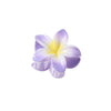 colorful egg flower hairpin flower gripper retro women's side gripper half gripper back head shark clip